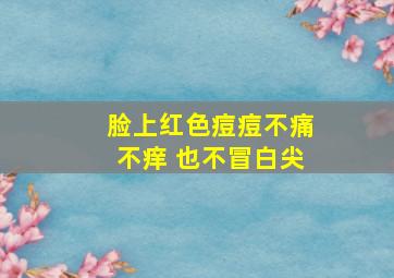 脸上红色痘痘不痛不痒 也不冒白尖